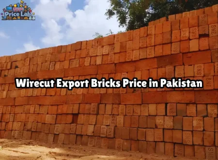 Wirecut Export Bricks Price in Pakistan